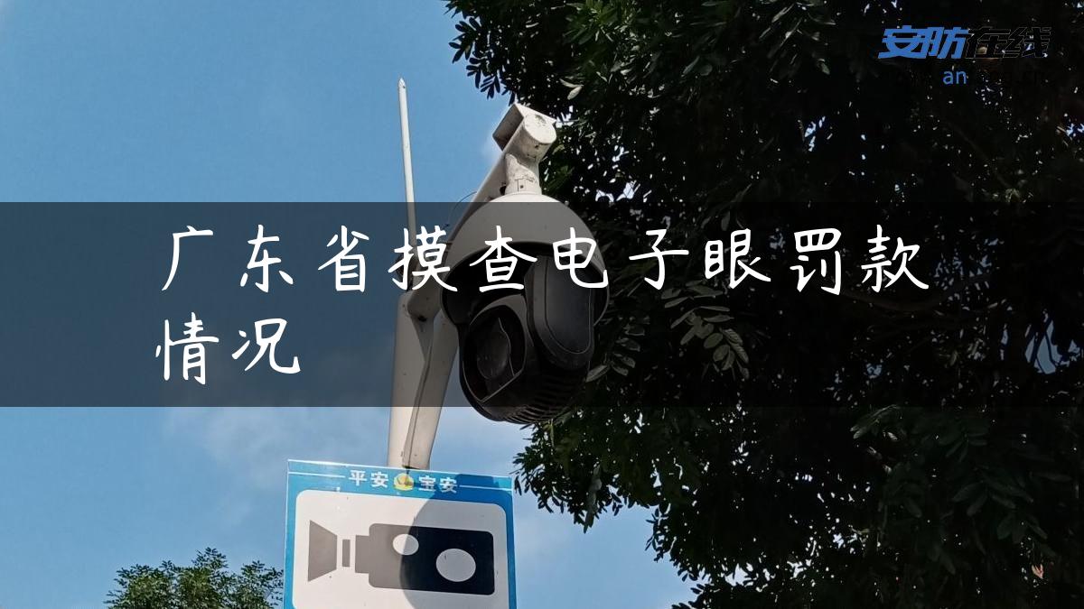 广东省摸查电子眼罚款情况