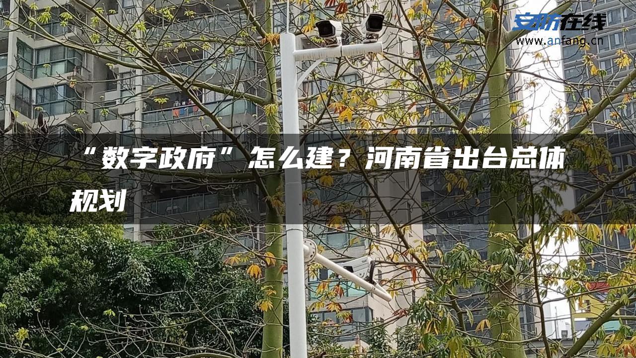 “数字政府”怎么建？河南省出台总体规划