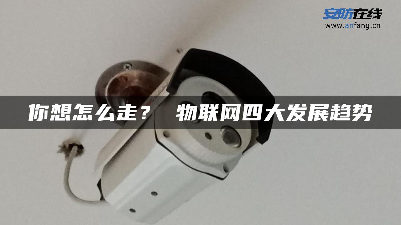 你想怎么走？ 物联网四大发展趋势