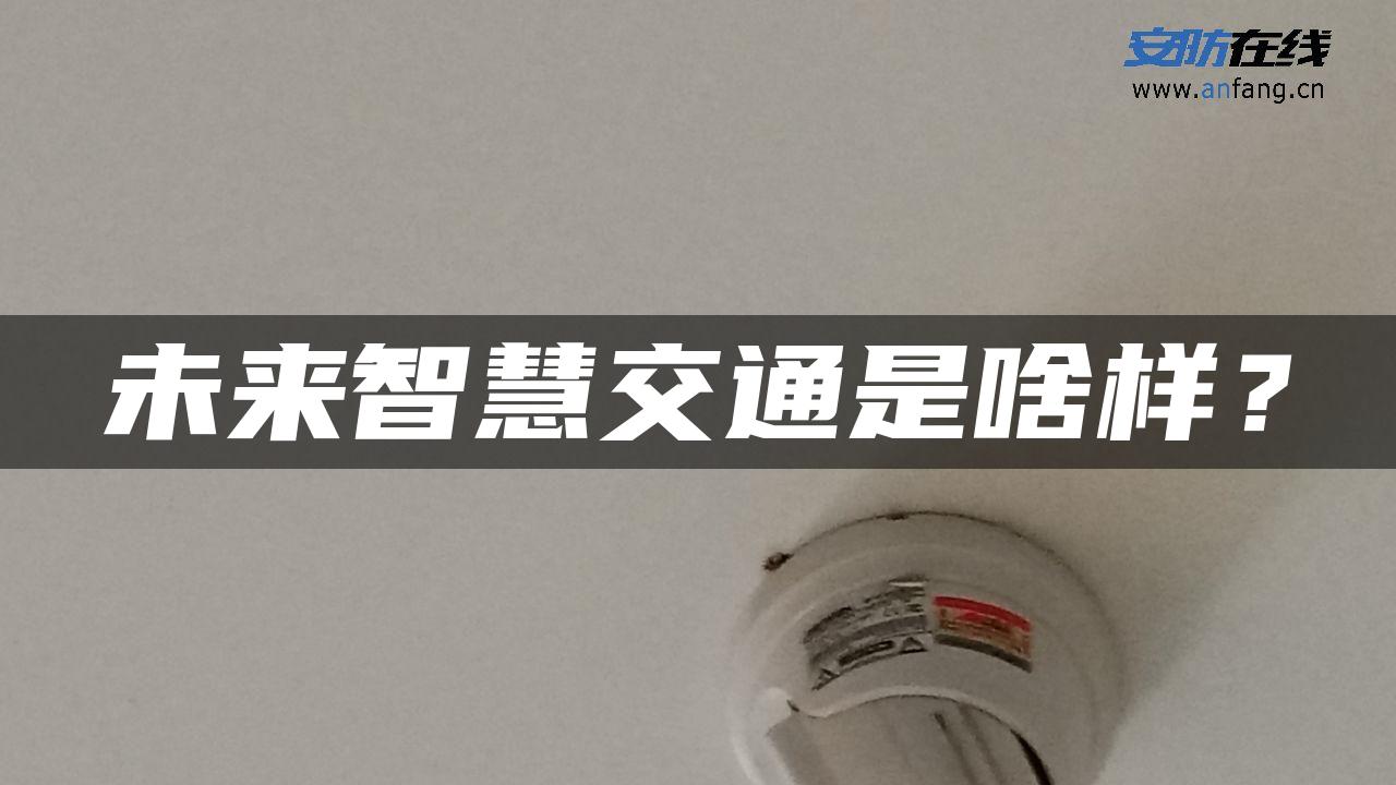 未来智慧交通是啥样？