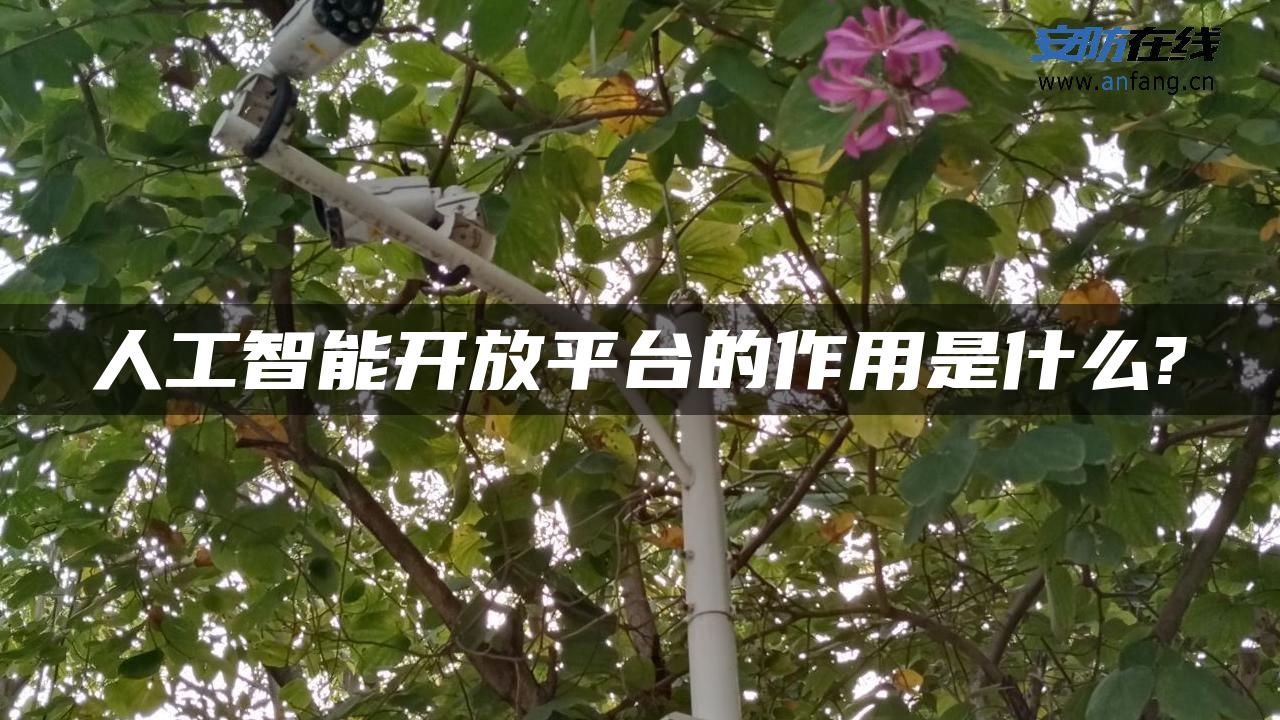 人工智能开放平台的作用是什么?