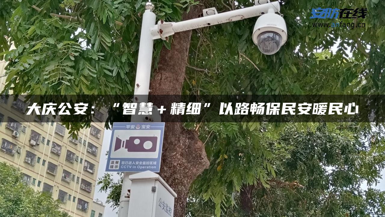 大庆公安：“智慧＋精细”以路畅保民安暖民心