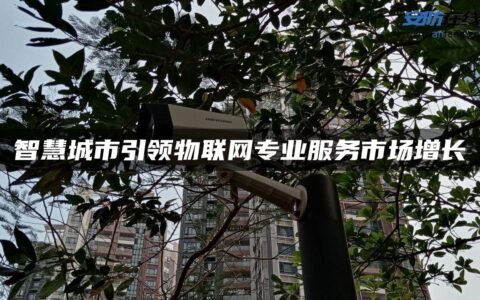 智慧城市引领物联网专业服务市场增长