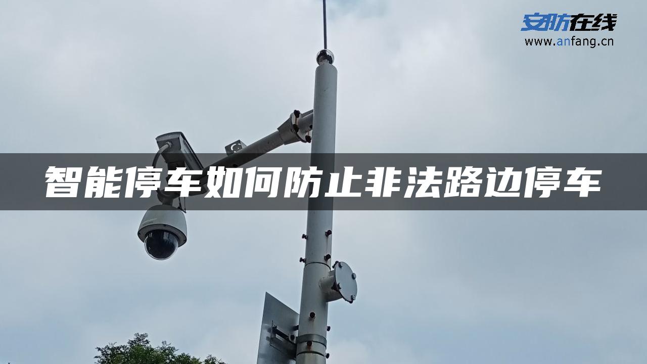 智能停车如何防止非法路边停车