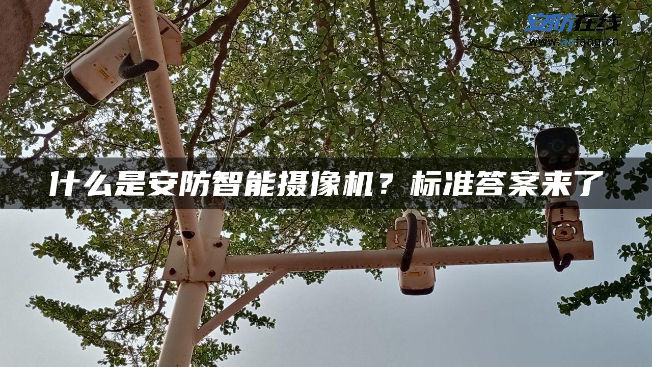 什么是安防智能摄像机？标准答案来了