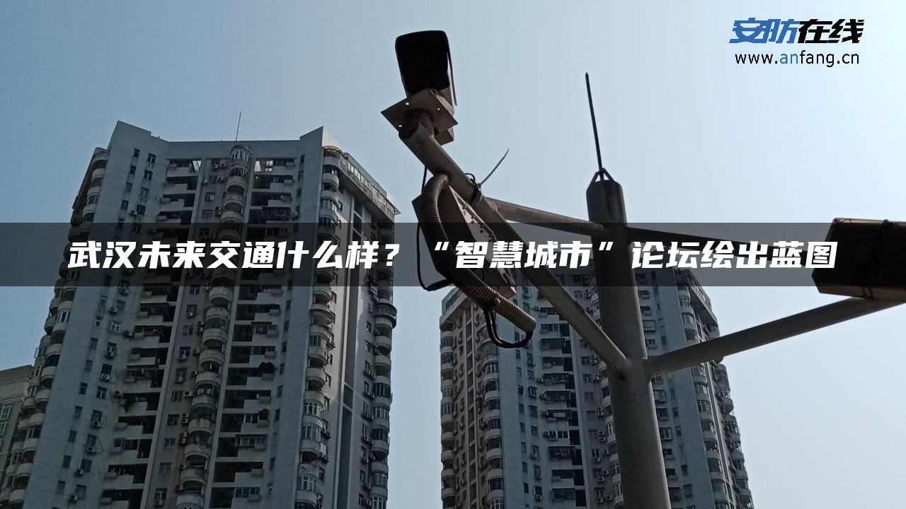 武汉未来交通什么样？“智慧城市”论坛绘出蓝图