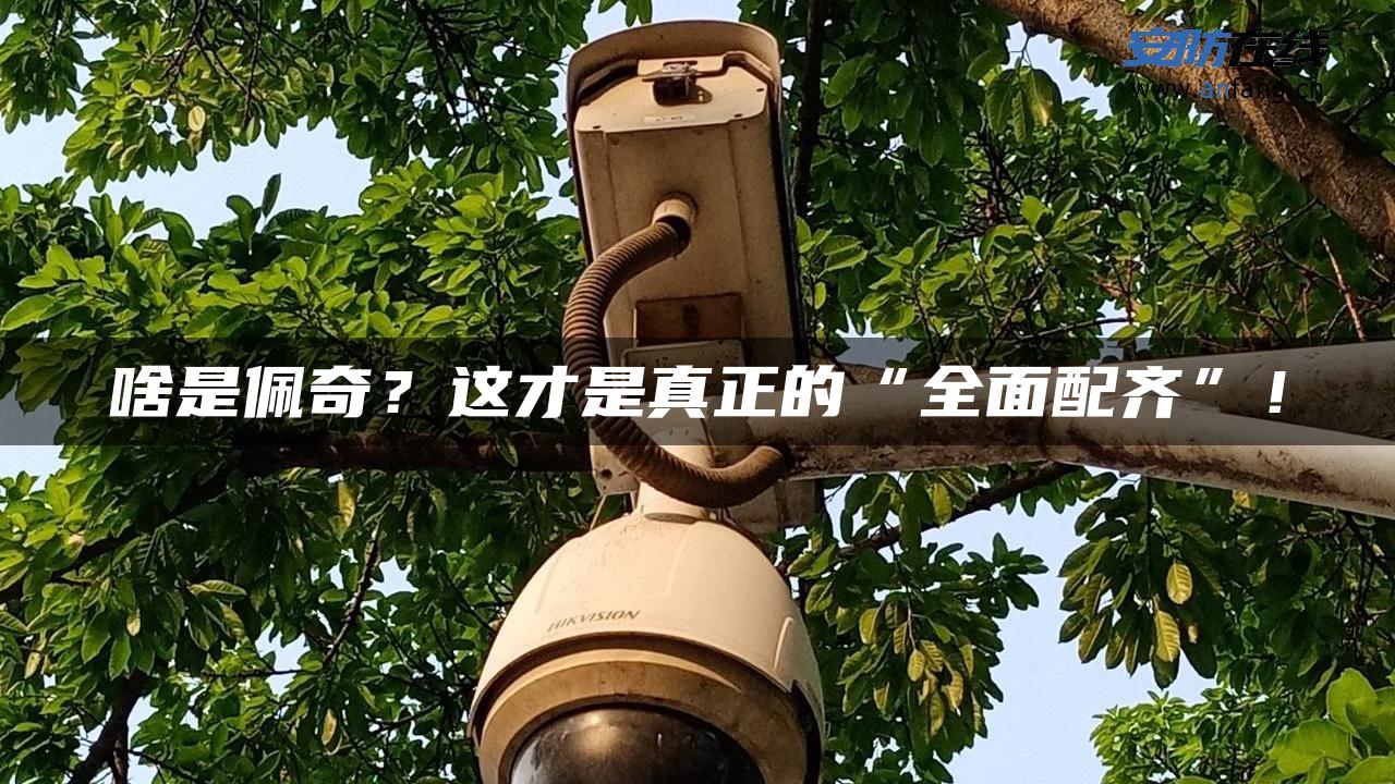 啥是佩奇？这才是真正的“全面配齐”！