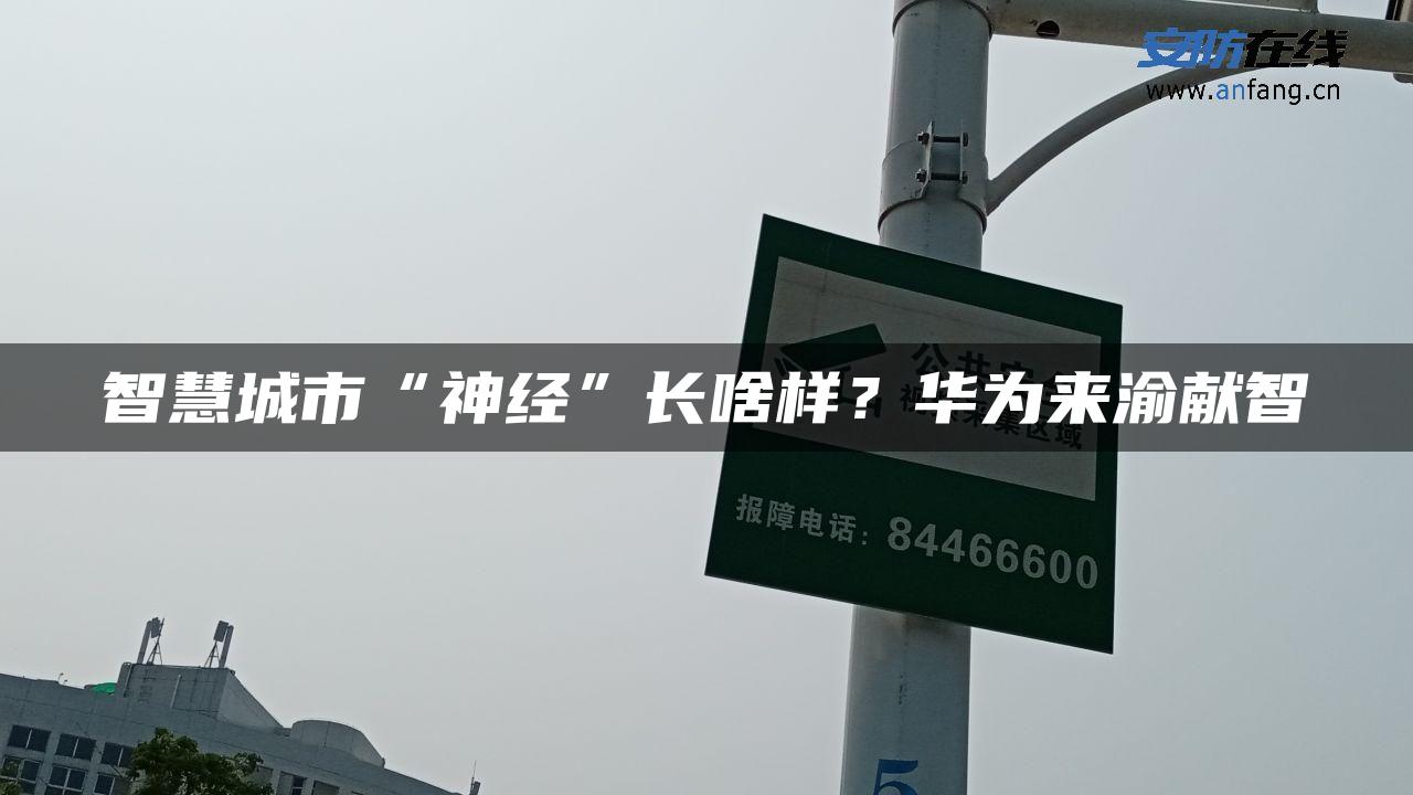 智慧城市“神经”长啥样？华为来渝献智