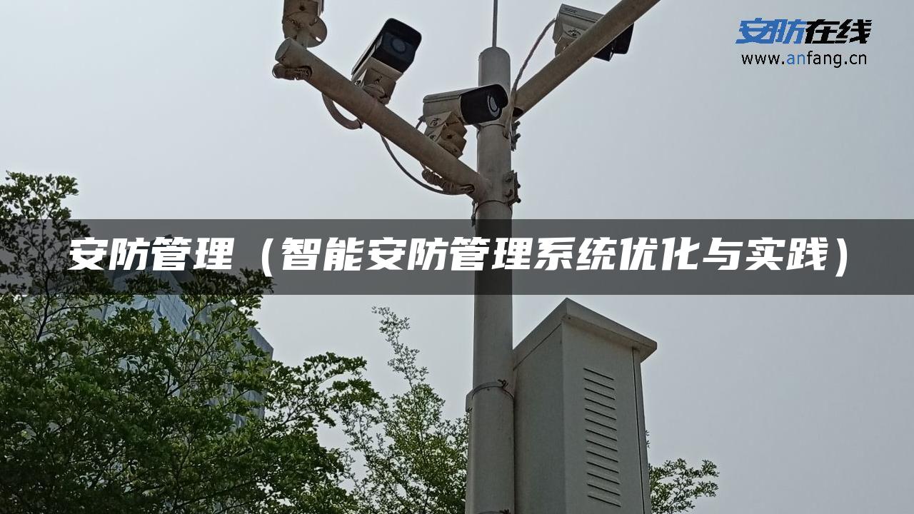 安防管理（智能安防管理系统优化与实践）