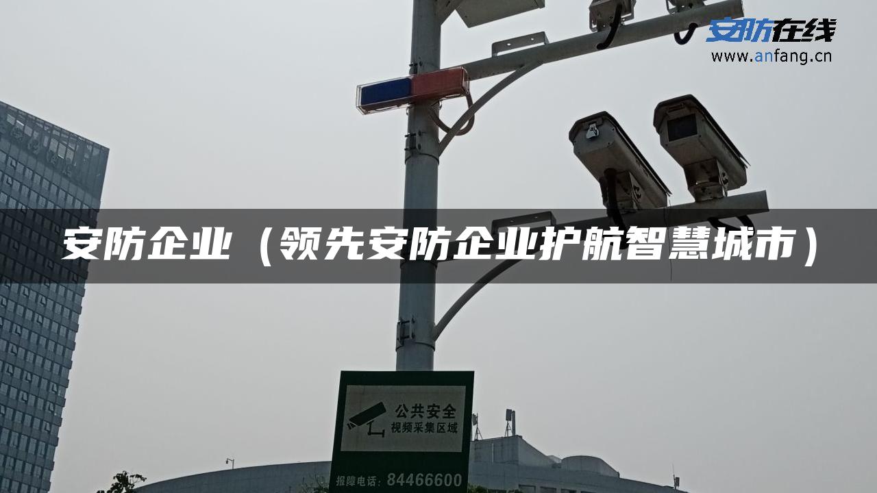 安防企业（领先安防企业护航智慧城市）