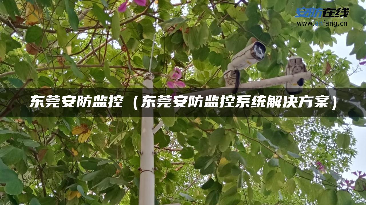 东莞安防监控（东莞安防监控系统解决方案）