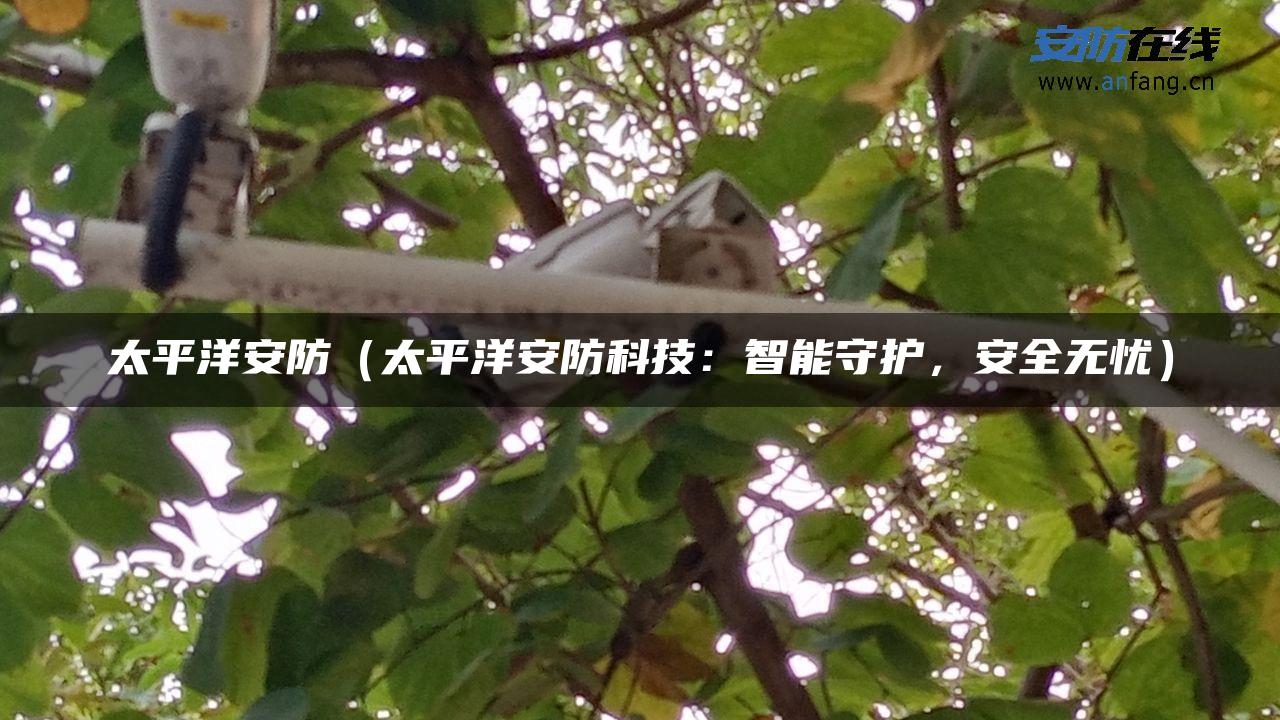 太平洋安防（太平洋安防科技：智能守护，安全无忧）