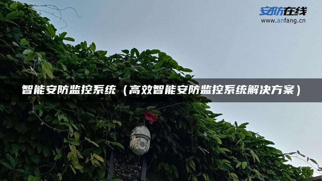 智能安防监控系统（高效智能安防监控系统解决方案）