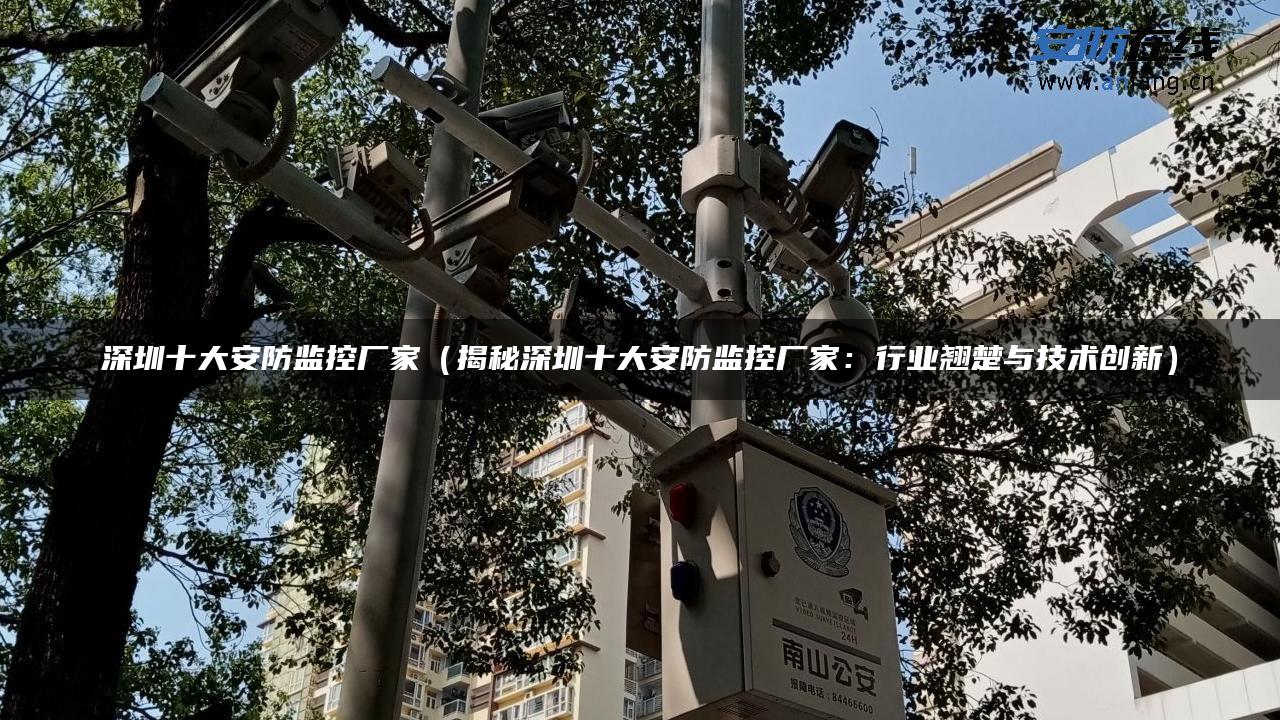 深圳十大安防监控厂家（揭秘深圳十大安防监控厂家：行业翘楚与技术创新）