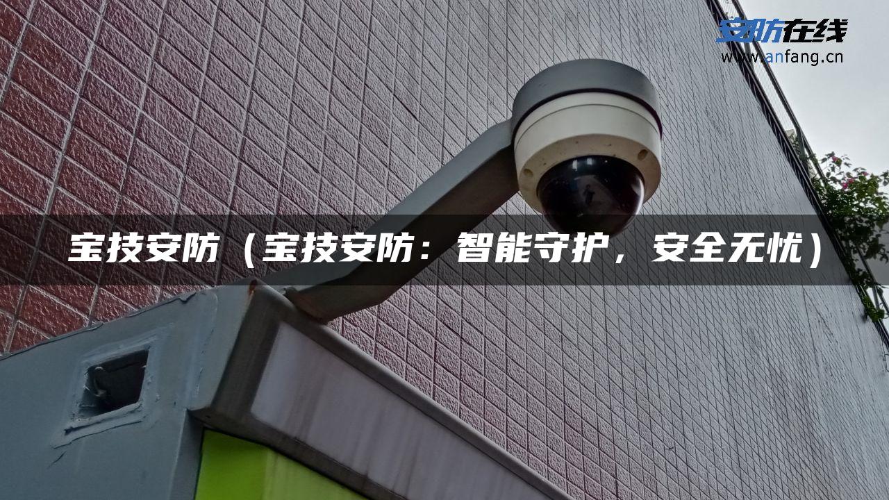 宝技安防（宝技安防：智能守护，安全无忧）