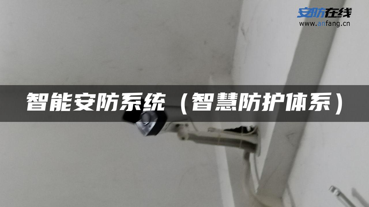 智能安防系统（智慧防护体系）