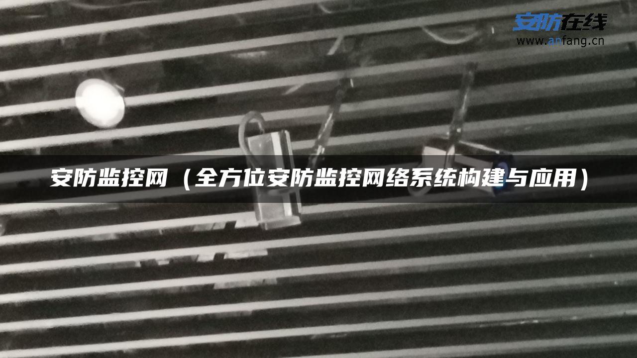 安防监控网（全方位安防监控网络系统构建与应用）