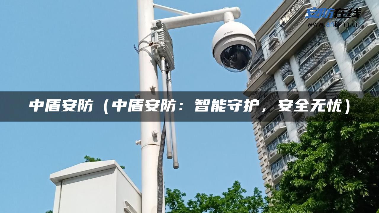 中盾安防（中盾安防：智能守护，安全无忧）