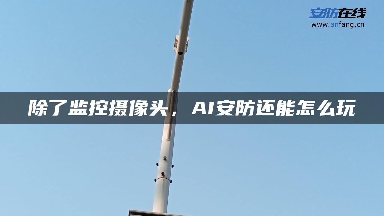 除了监控摄像头，AI安防还能怎么玩