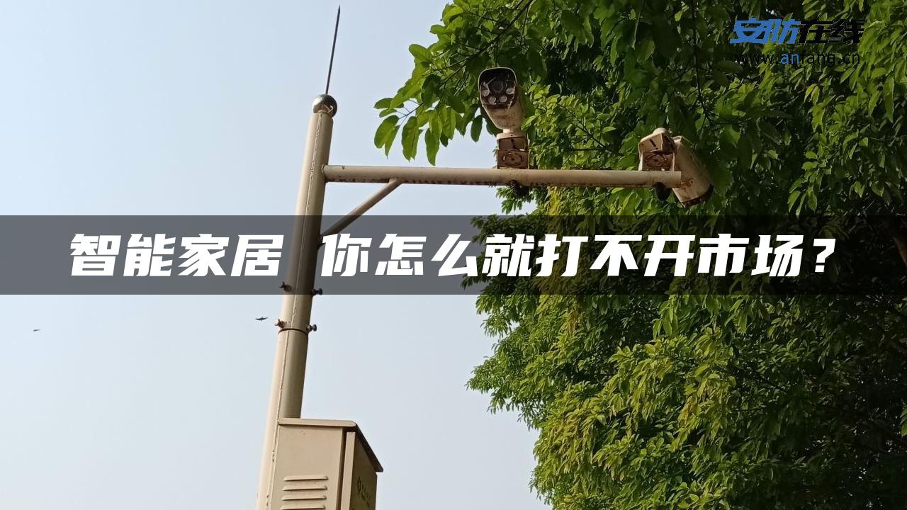 智能家居 你怎么就打不开市场？