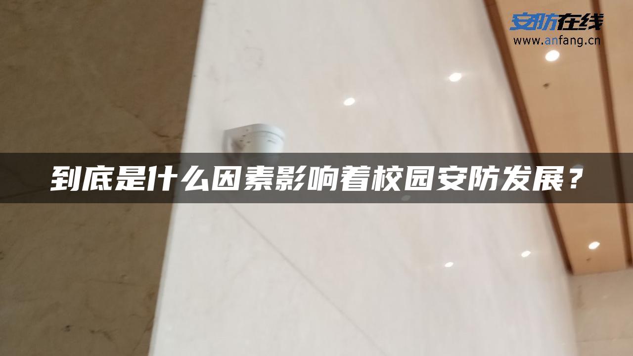 到底是什么因素影响着校园安防发展？