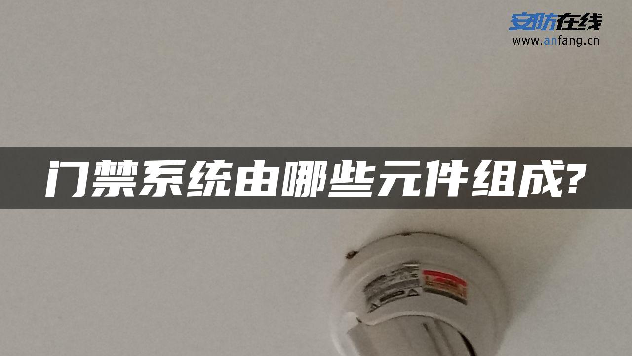 门禁系统由哪些元件组成?