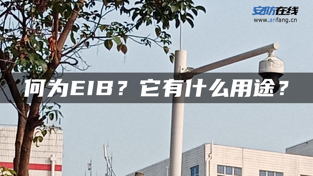 何为EIB？它有什么用途？