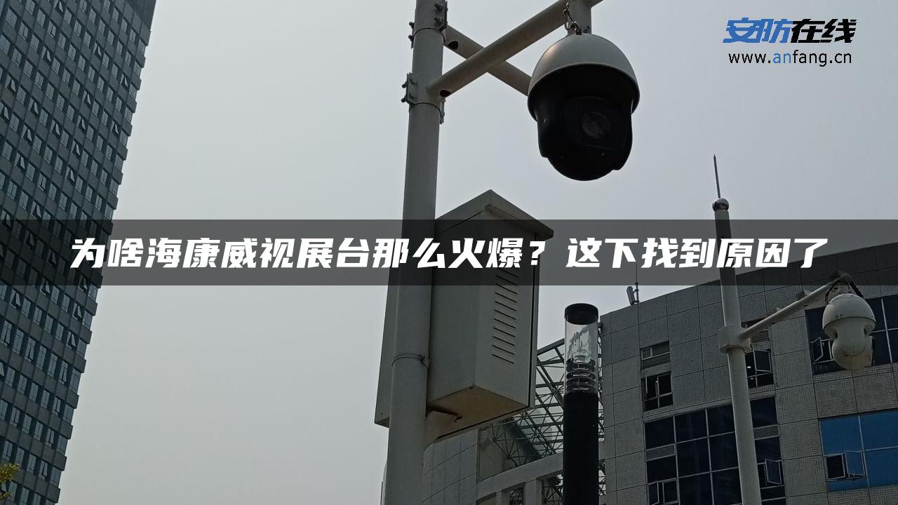 为啥海康威视展台那么火爆？这下找到原因了