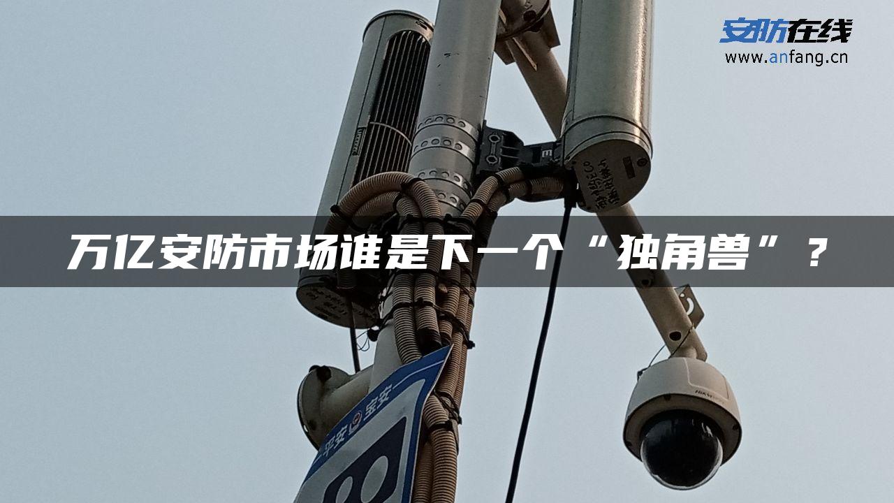 万亿安防市场谁是下一个“独角兽”？