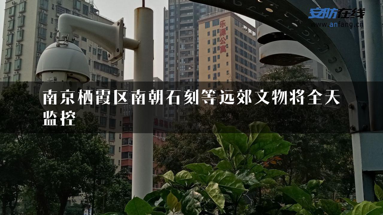 南京栖霞区南朝石刻等远郊文物将全天监控