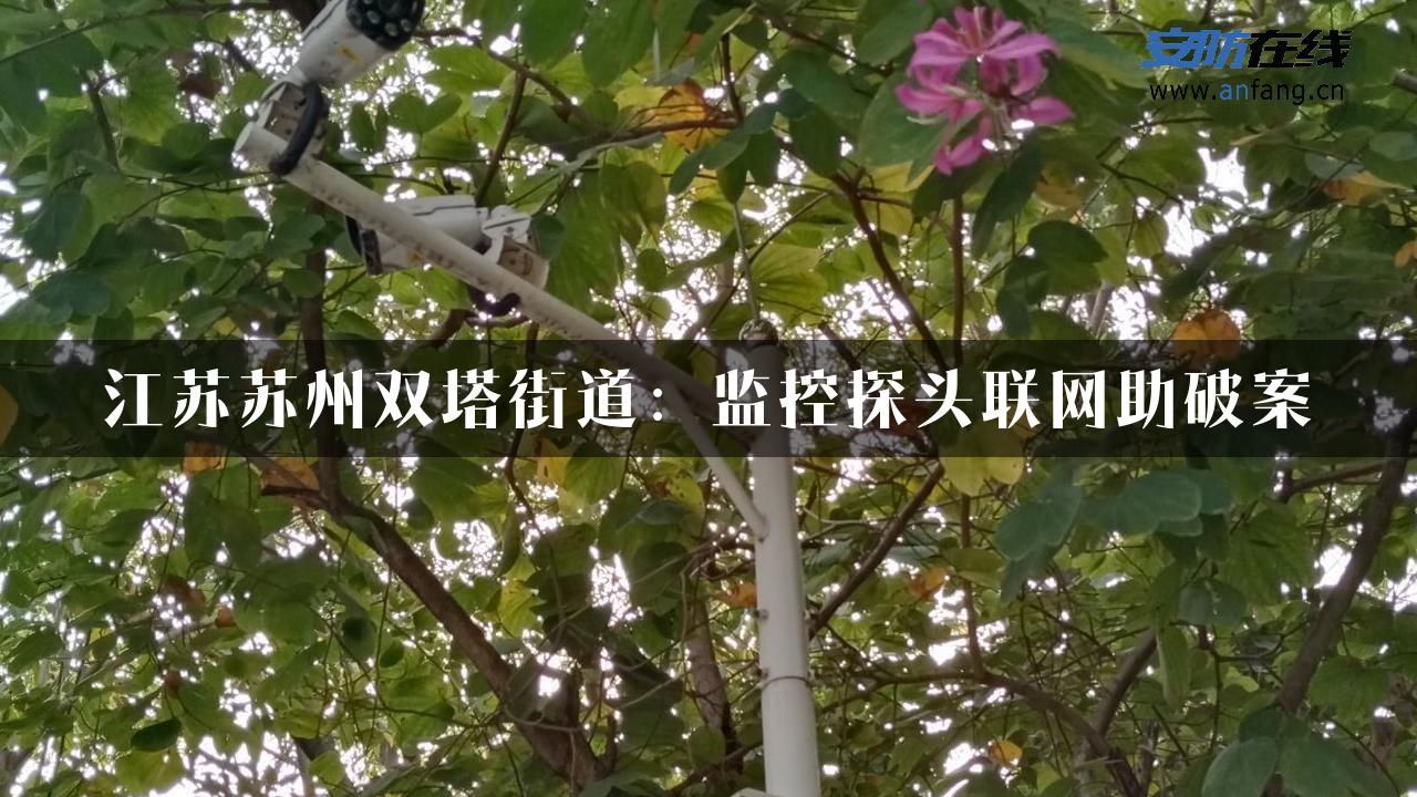 江苏苏州双塔街道：监控探头联网助破案