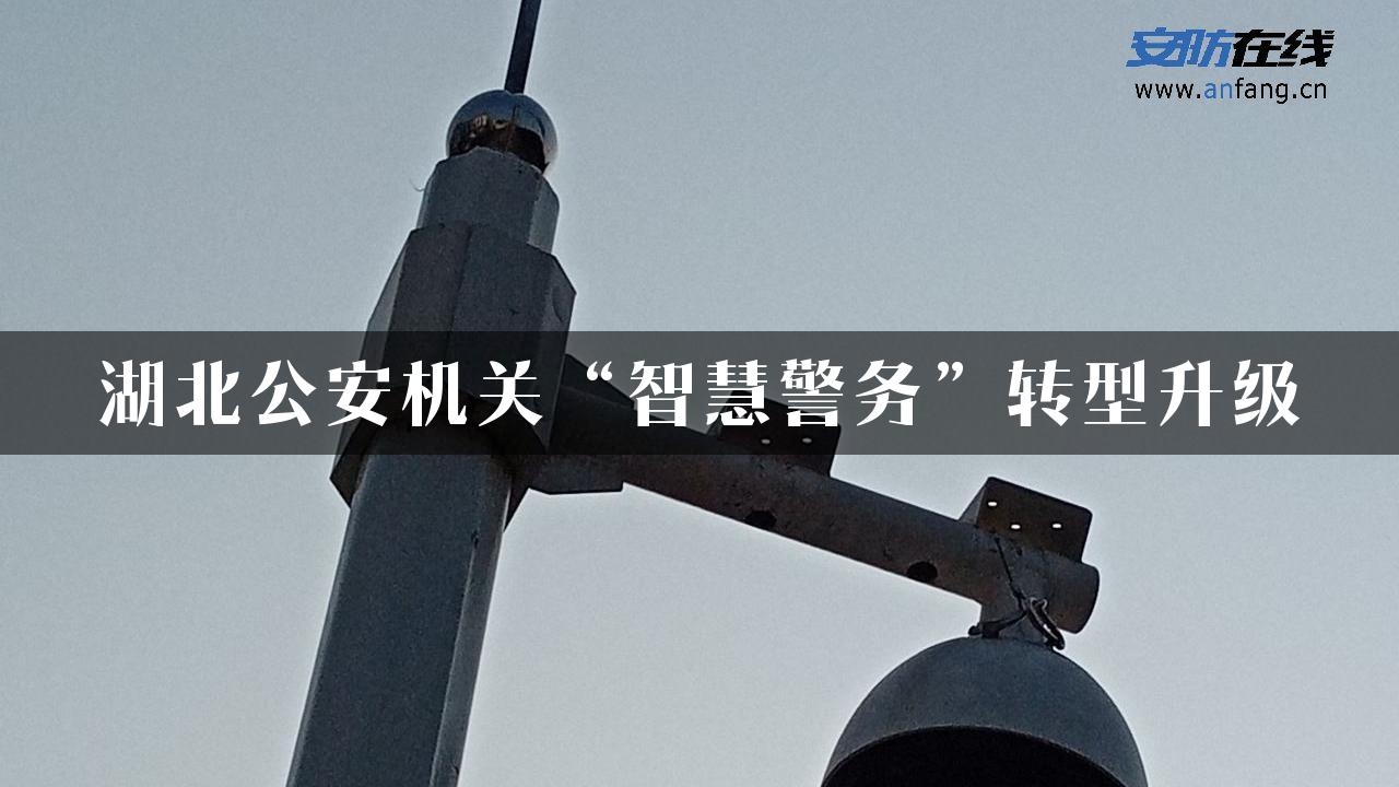 湖北公安机关“智慧警务”转型升级