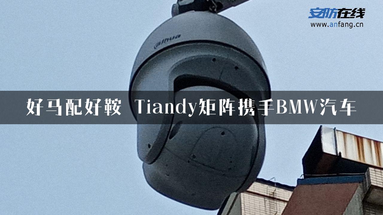 好马配好鞍 Tiandy矩阵携手BMW汽车