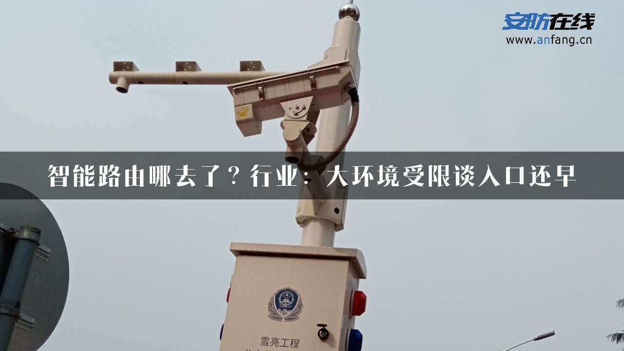 智能路由哪去了？行业：大环境受限谈入口还早