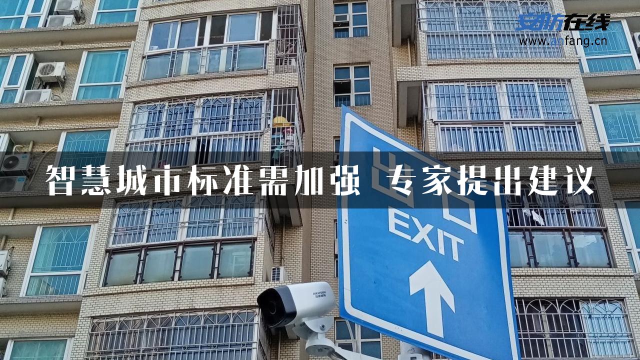 智慧城市标准需加强 专家提出建议