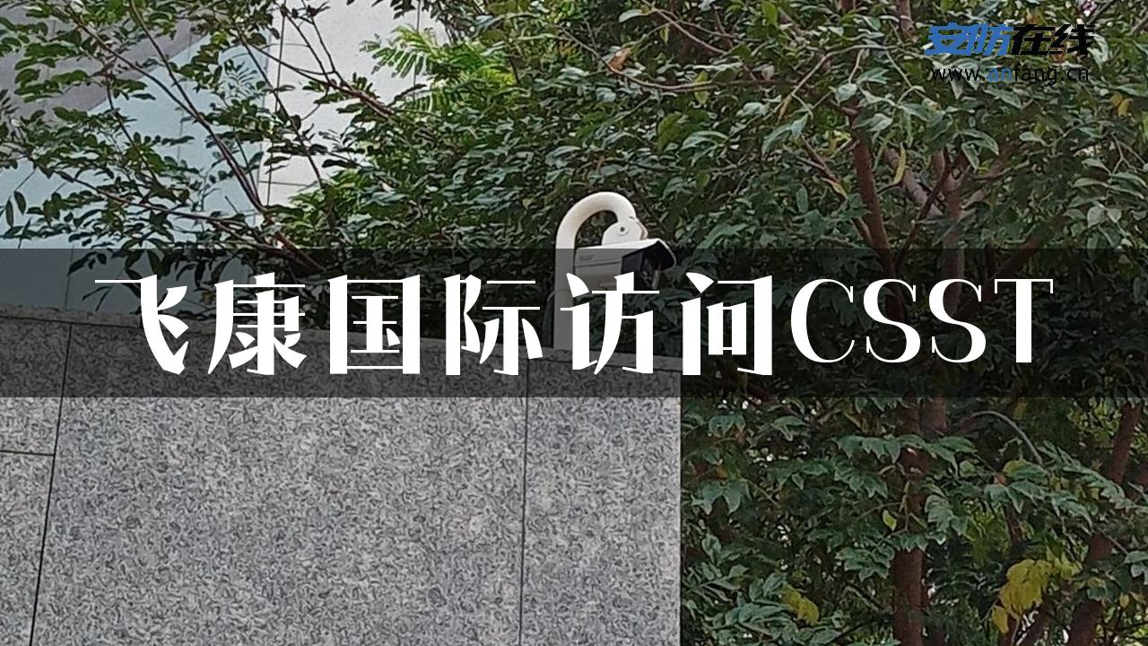 飞康国际访问CSST