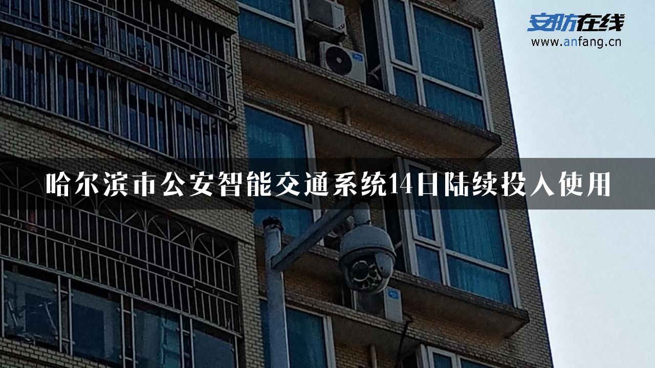 哈尔滨市公安智能交通系统14日陆续投入使用