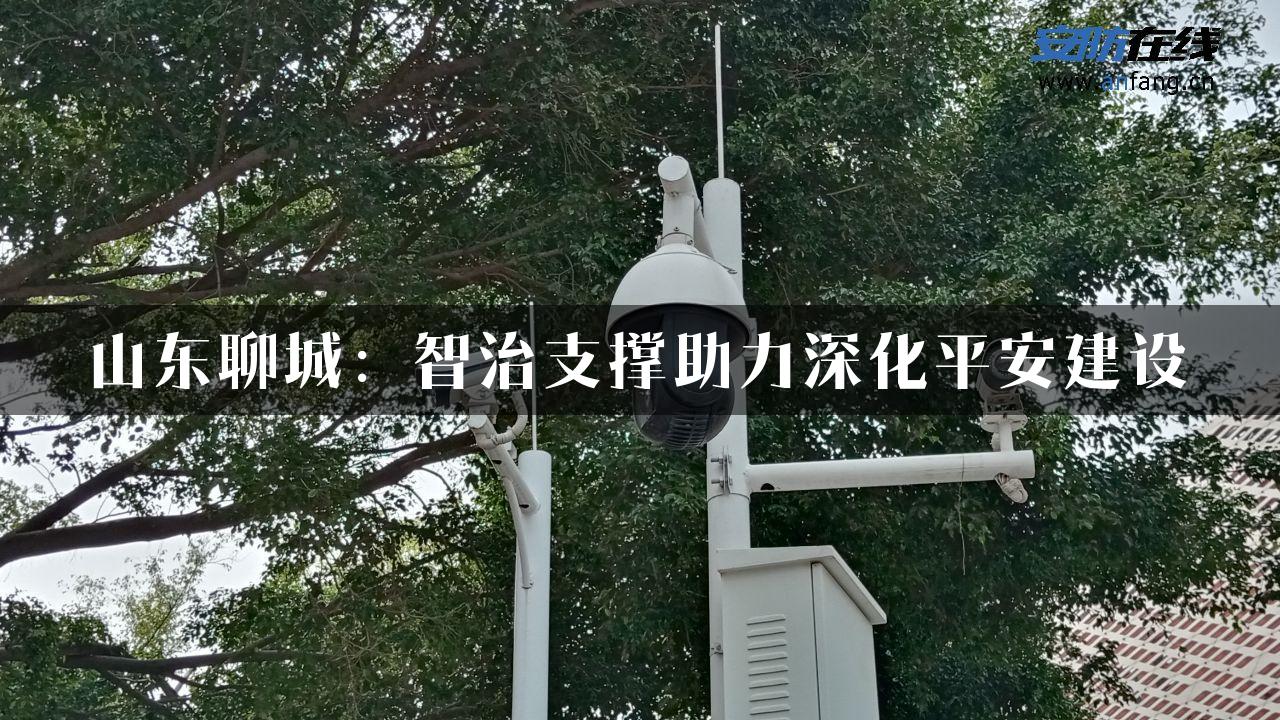 山东聊城：智治支撑助力深化平安建设