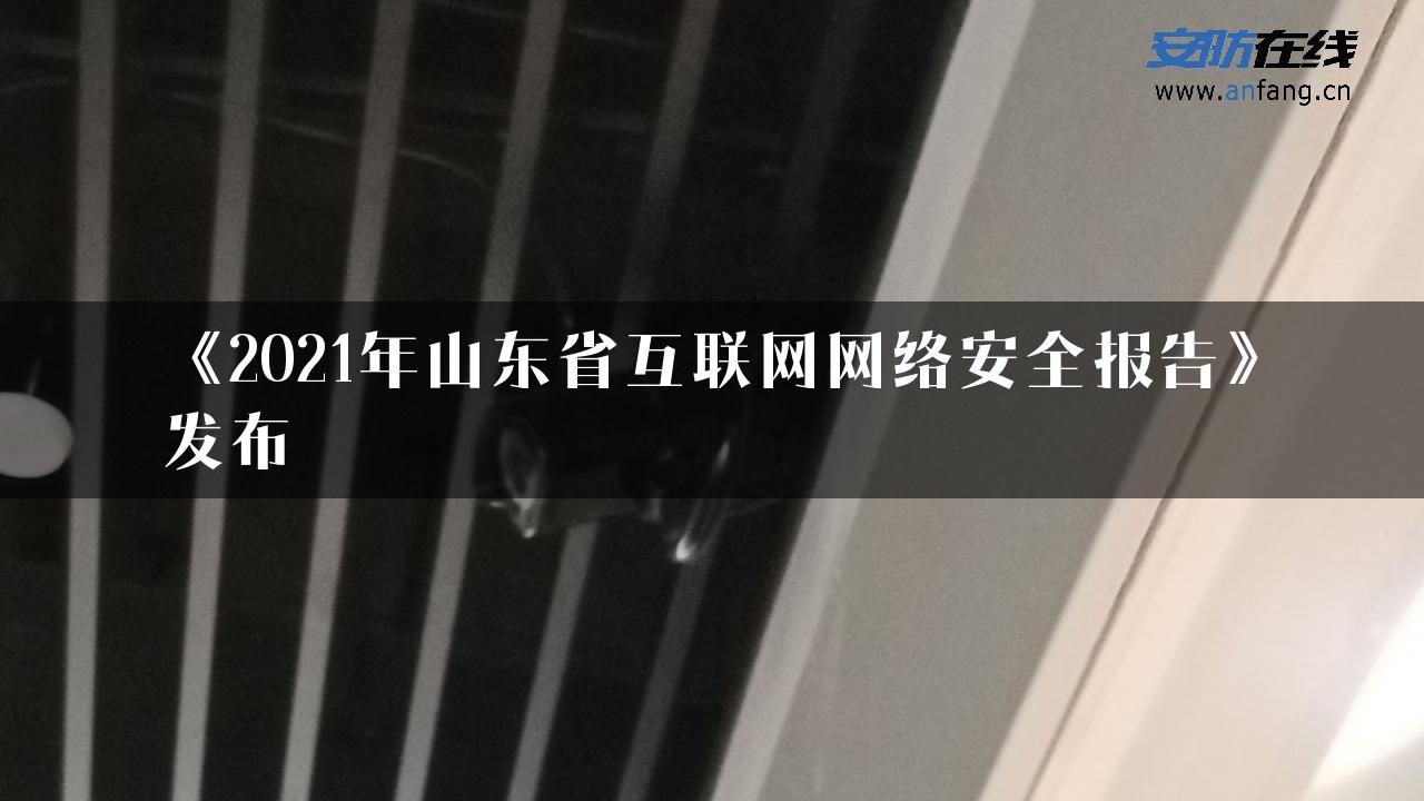 《2021年山东省互联网网络安全报告》发布