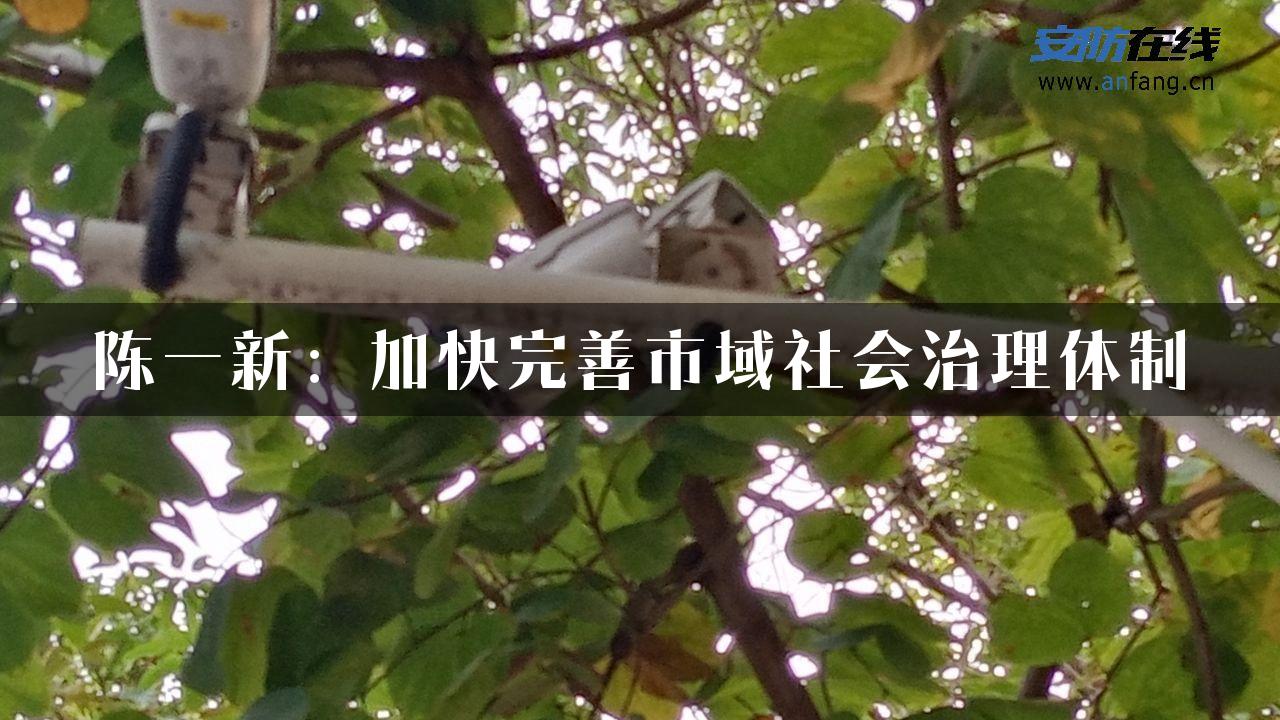 陈一新：加快完善市域社会治理体制