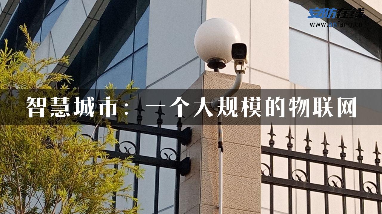 智慧城市：一个大规模的物联网