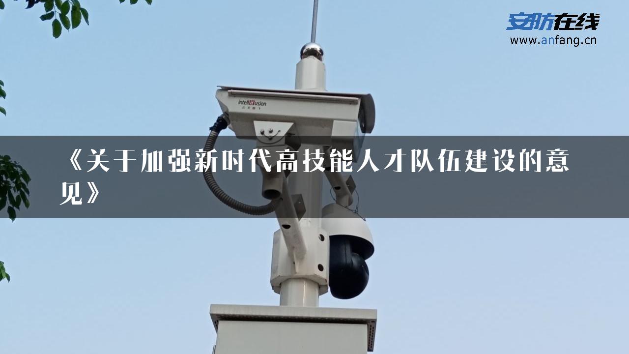 《关于加强新时代高技能人才队伍建设的意见》