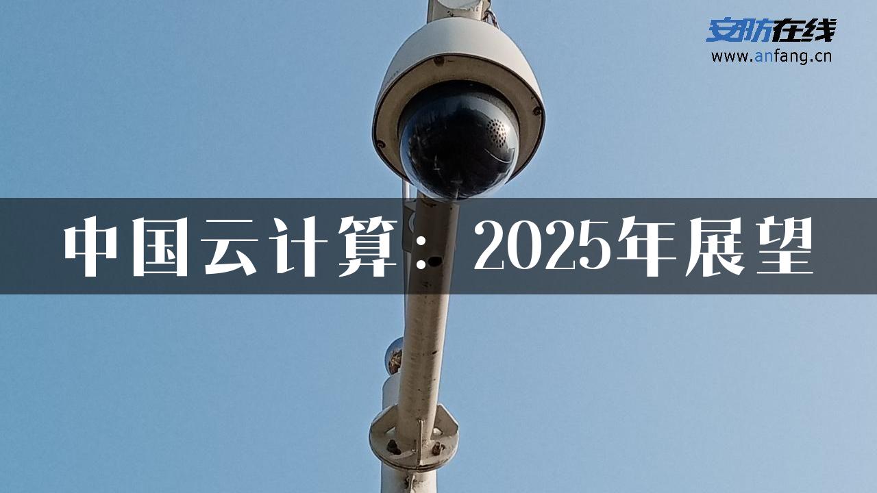 中国云计算：2025年展望