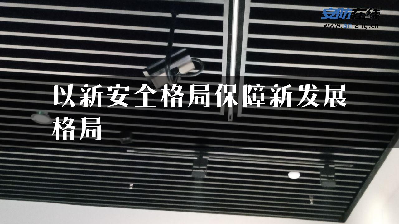 以新安全格局保障新发展格局