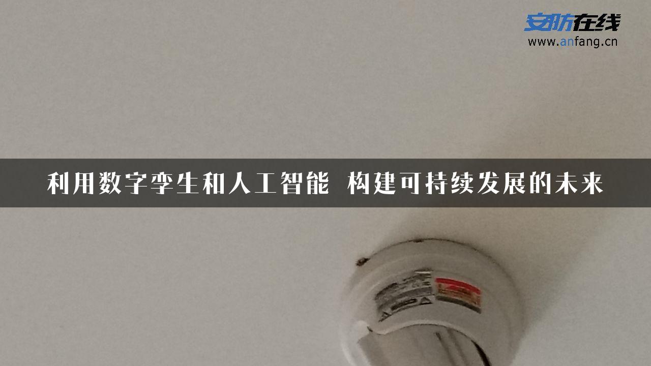 利用数字孪生和人工智能 构建可持续发展的未来