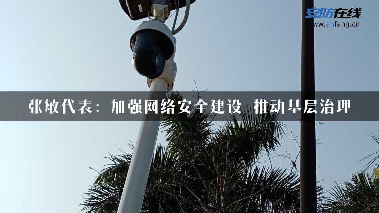 张敏代表：加强网络安全建设 推动基层治理