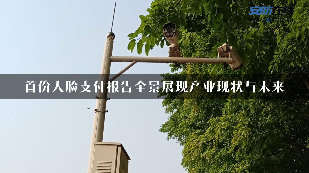 首份人脸支付报告全景展现产业现状与未来