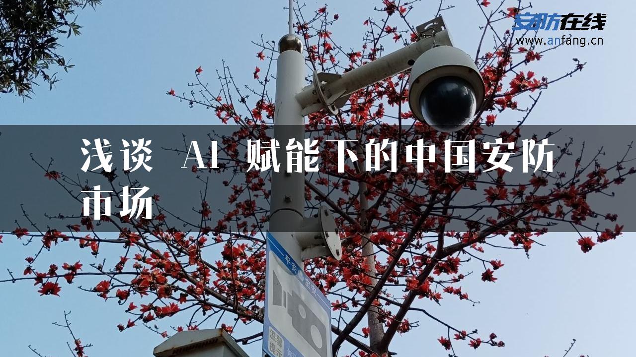 浅谈 AI 赋能下的中国安防市场