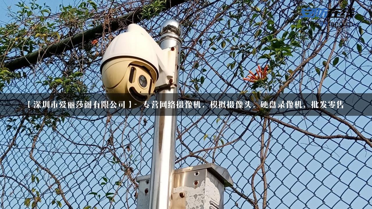 【深圳市爱丽莎阁有限公司】- 专营网络摄像机，模拟摄像头，硬盘录像机，批发零售