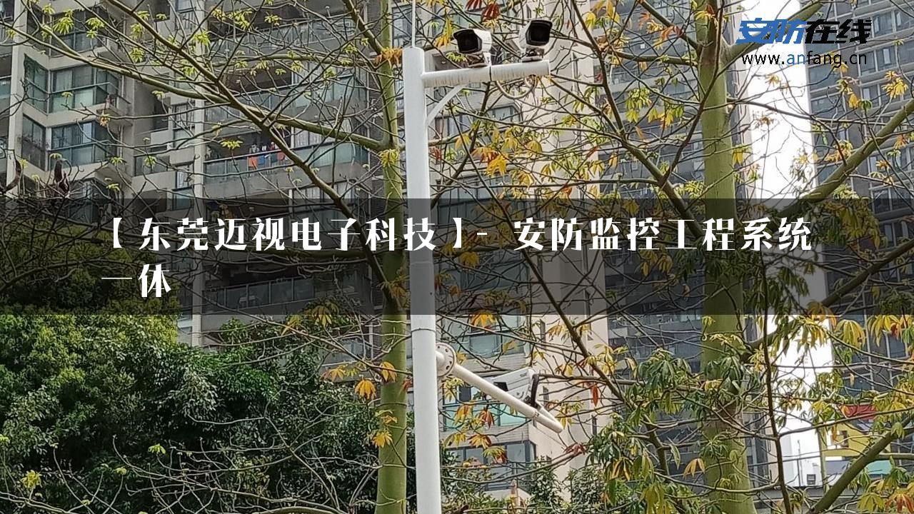 【东莞迈视电子科技】- 安防监控工程系统一体